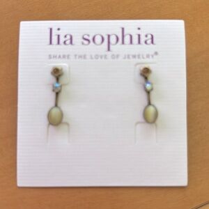 Tiger Eye Earrings - NWT